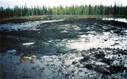 Биологическая очистка от нефти субстрата нефтешламонакопителей: после очистки